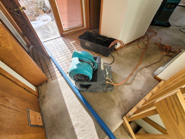 Best Commercial water damage restoration  in Lakes Of The Four Seasons, IN