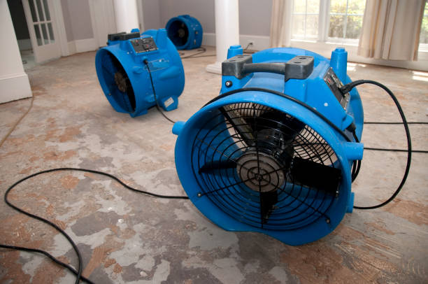 Best Flooded house restoration  in Lakes Of The Four Seasons, IN