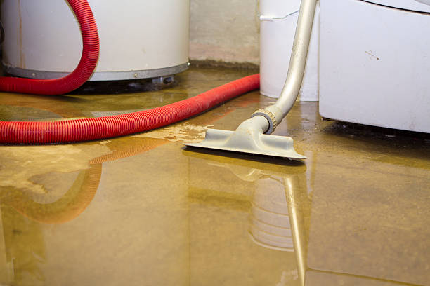 Best Water damage restoration near me  in Lakes Of The Four Seasons, IN