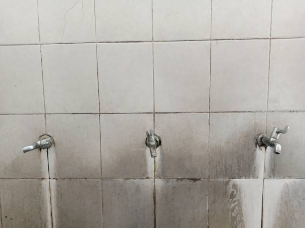 Water damage restoration mold remediation in Lakes Of The Four Seasons, IN
