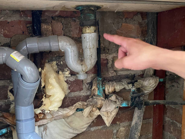Best Fire Damage Restoration  in Lakes Of The Four Seasons, IN
